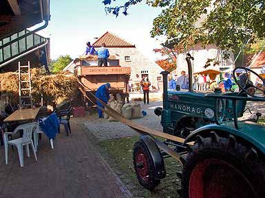 Der Hanomag  treibt die Trenkamp Dreschmaschine an