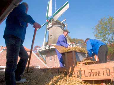 Die Schlepperfreunde an der Trenkamp Dreschmaschine